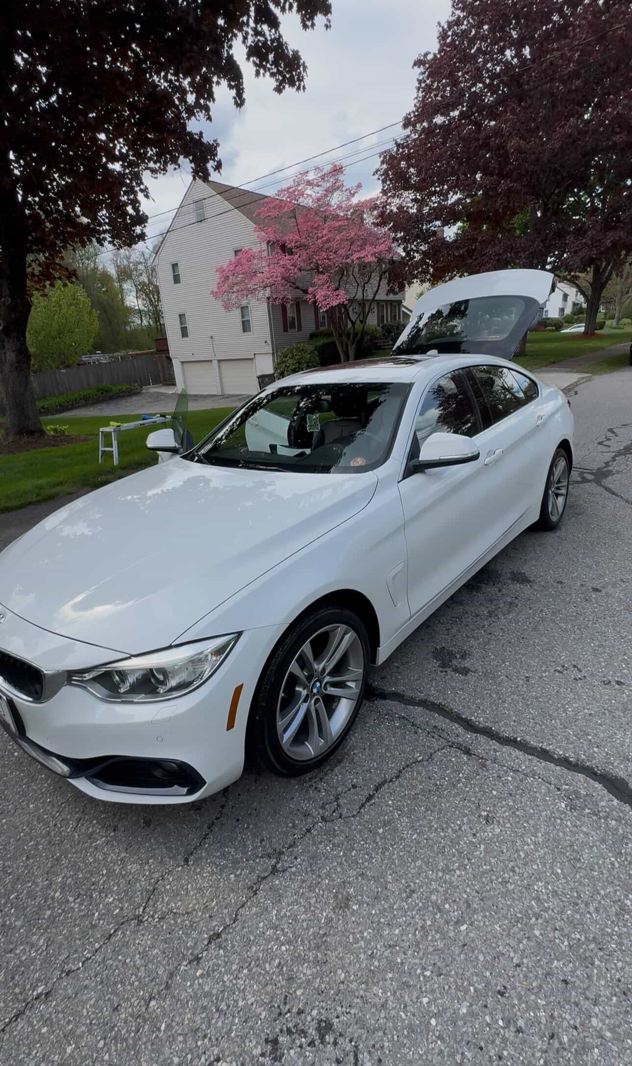 Clean BMW 4 Series after exterior detail