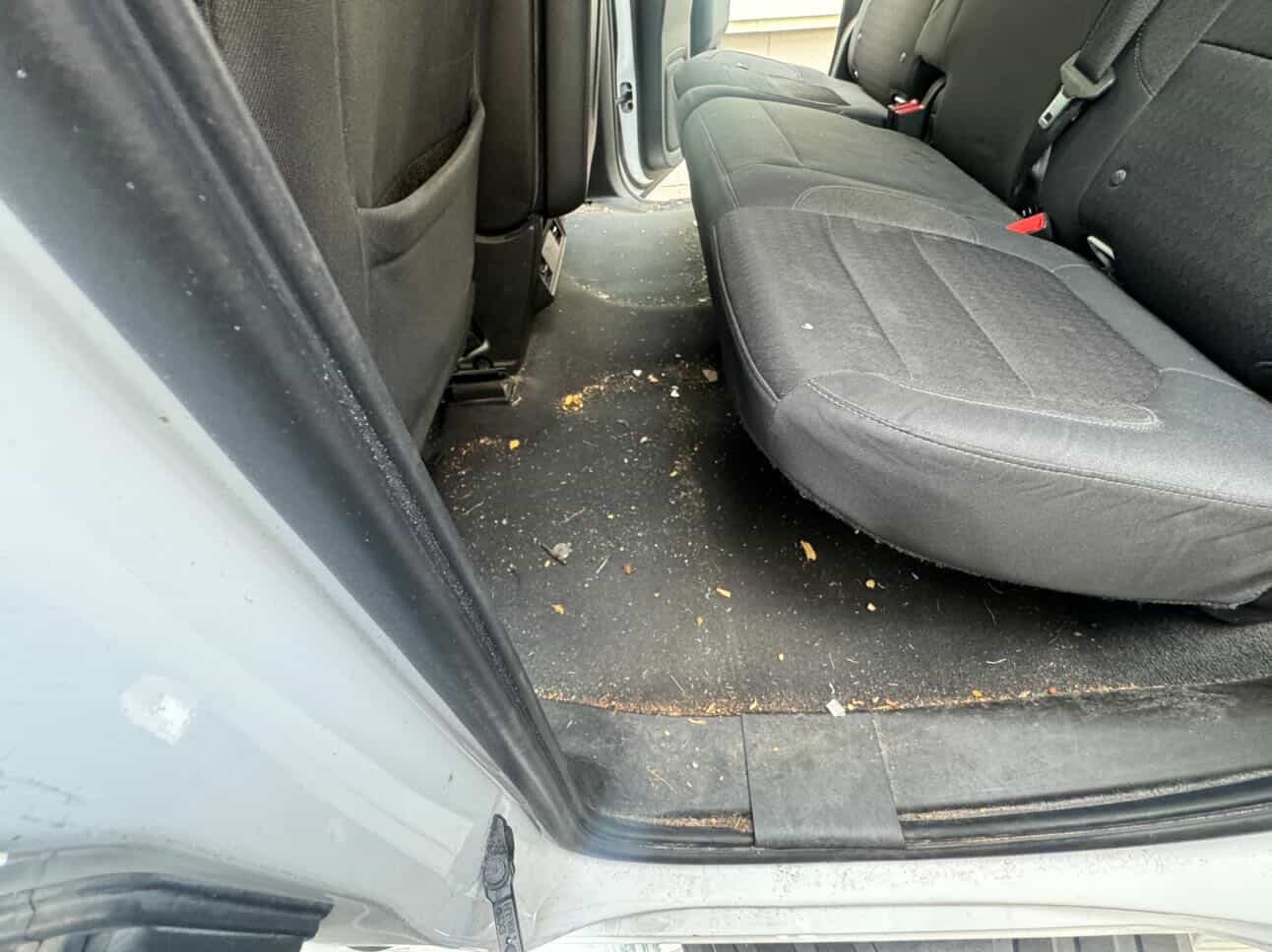 Dirty truck floor before detailing